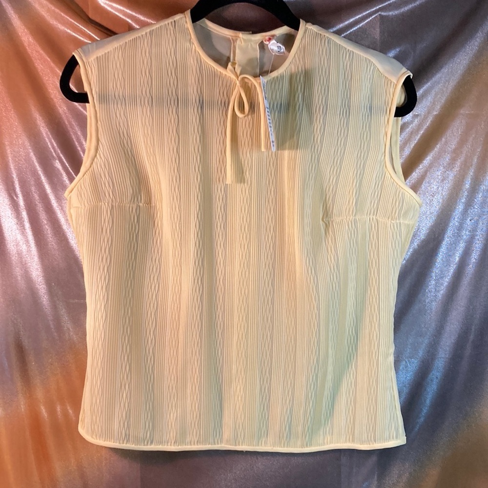 Vintage 1960’s nude sheer blouse with button down back. 40” chest 203